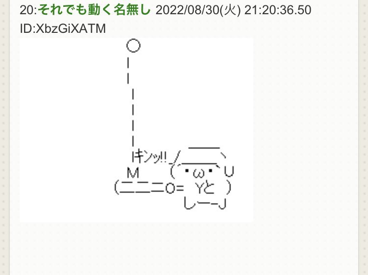 きったん tweet media