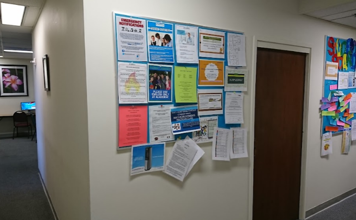 studydestiny's tweet photo. [America]Academica Language Schools Hawaii (ALS)

- Students will be taught with interactive and enjoyable methodology to make learning English more accessible.
- ALS provides a wide selection of classes and different levels.

For more information
https://t.co/E4095Ih1jo https://t.co/G5Ficd97tw