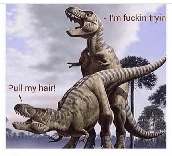 PreheatedZebra's tweet photo. 🤣 https://t.co/v9k4mL5ND9