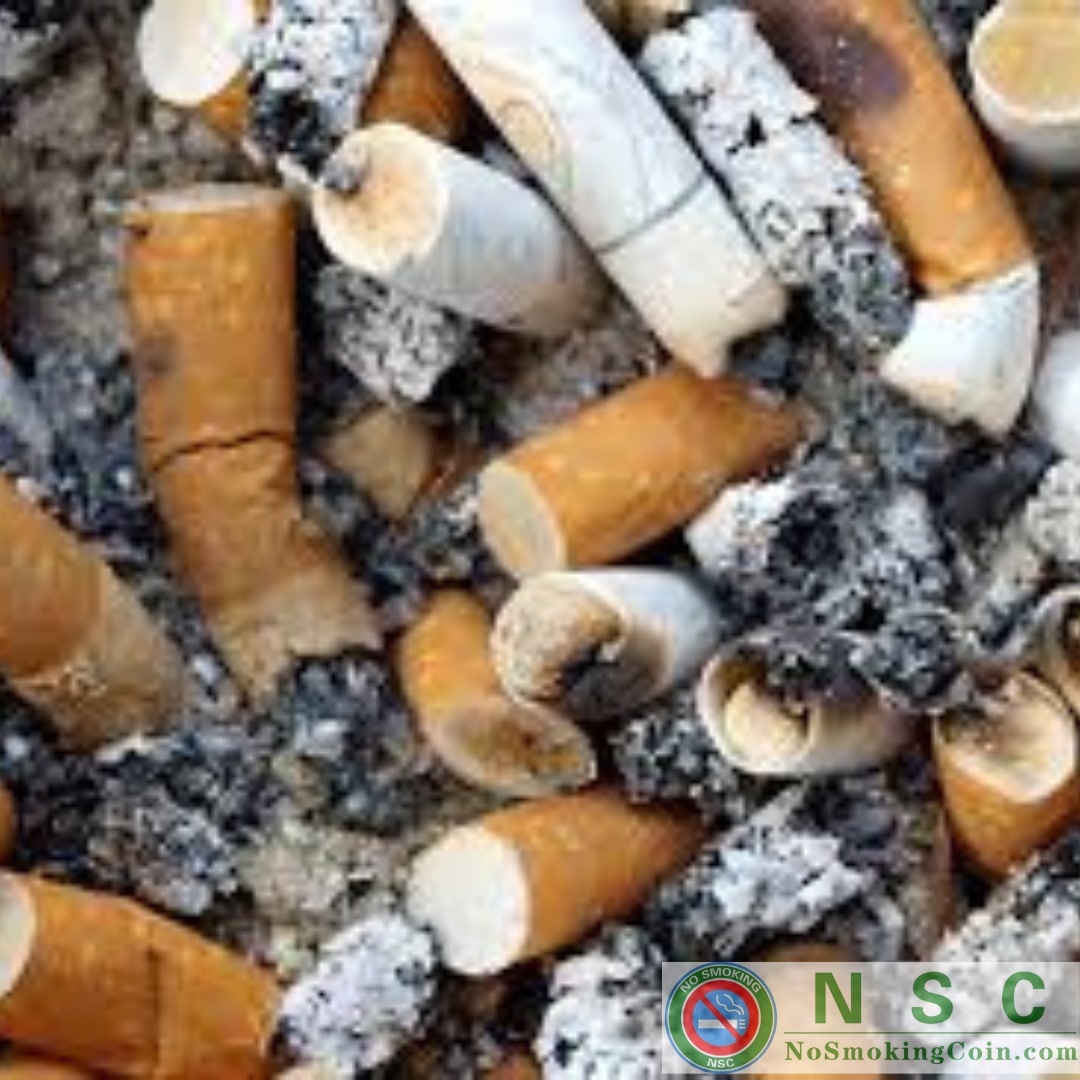 Cigarette butts leach toxic chemicals into water, where they can remain for as long as 10 years. Plastic filters were invented in the 1950s in response to lung cancer fears. 
#NSC #NoSmoking #NoSmokingCoin
