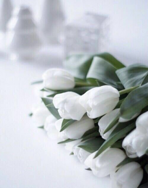 لاتستمر الحياة إلا #بالتجاوزات
يجب أن تتجاوز #ندمك،
#وهزيمتك،
#وبعض_الأشخاص ايضاً..