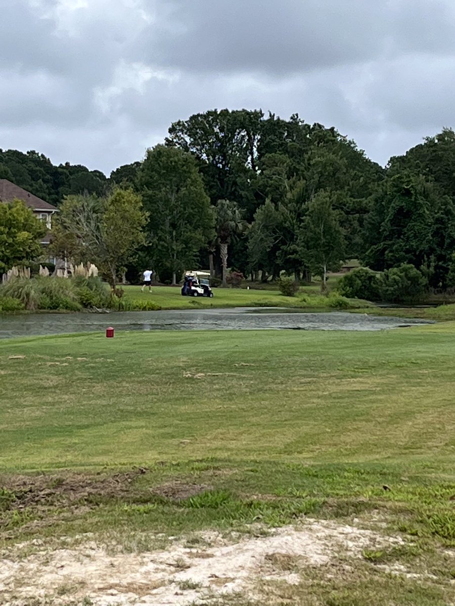 colrebhtytdy's tweet photo. Hey some ppl want to win the @MyrtleBeachGolf #worldam so bad they drove through 5 backyards and a home construction site to hit the clearly OB ball at Lions Paw today. INSANE #gotawaywithit #crazy #rules #golf https://t.co/9RCE07s1IL