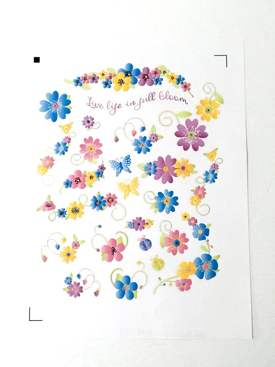 LiveLaserCat's tweet photo. Flower Stickers , Bloom , Life , Plants , Butterfly , Ladybug , Bright , Colourful , Planner , Crafts , Scrapbooking
 #Ladybug #StickersBloom #Bright #Butterfly #Crafts #Scrapbooking #Colourful #Planner #Plants #AAmazingPaperCraft #EtsyEmail

👉https://t.co/wOQNj4z6EK https://t.co/voxuYUyqyB