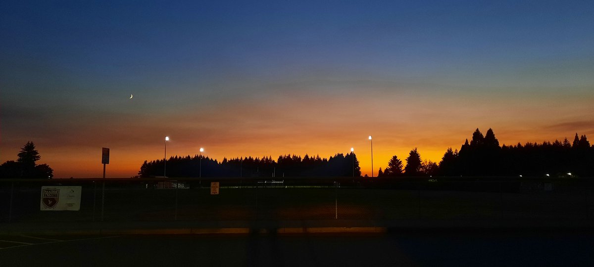 Erin Thompson tweet media