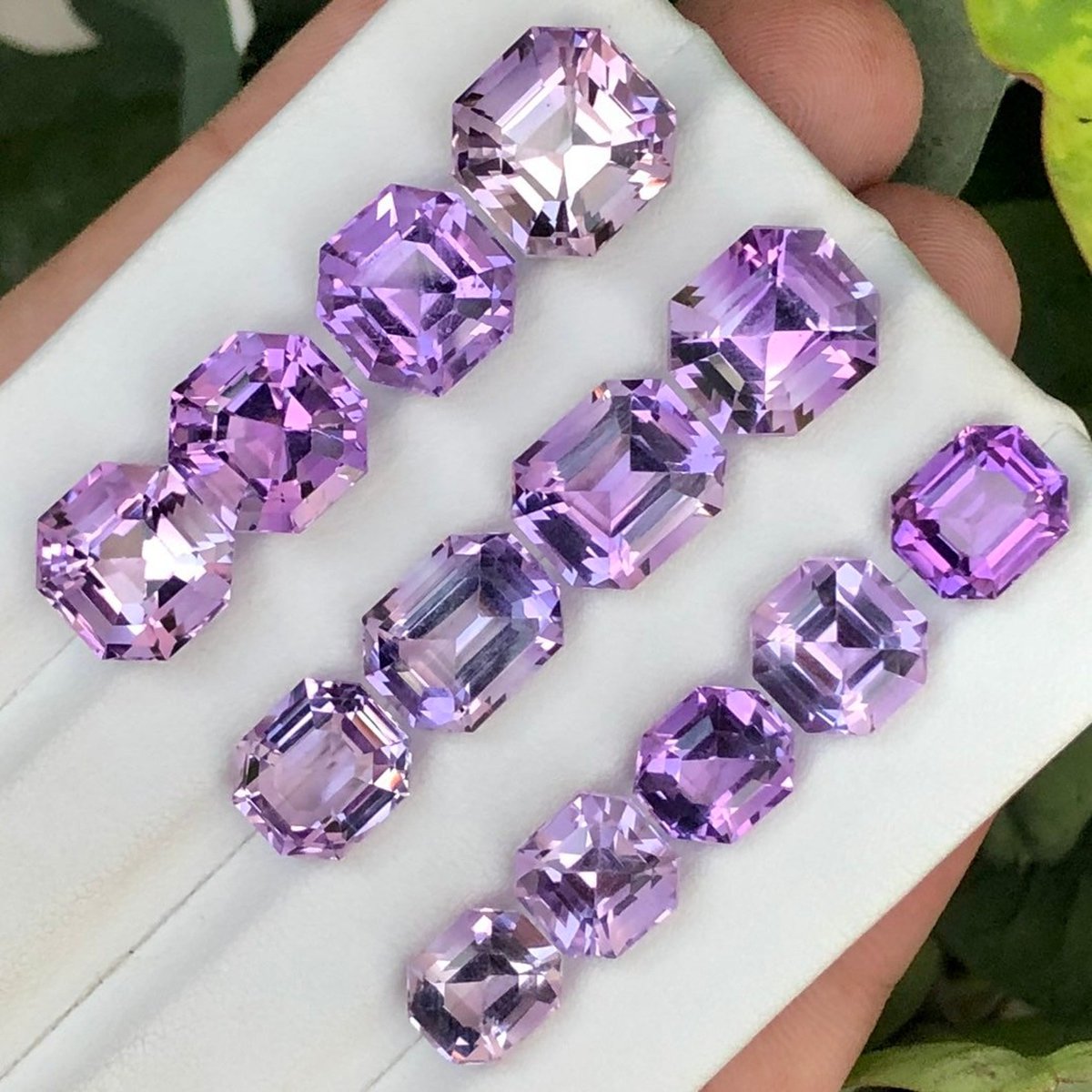 CoinBase Spy tweet media