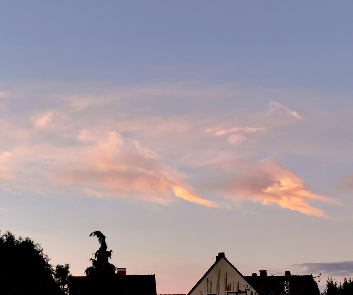 Guten Morgen, wünsche einen wunderschönen Tag. Heute besuchen wir den Wochenmarkt in Rotenburg. Mal schauen wie der von den Kunden angenommen wird.