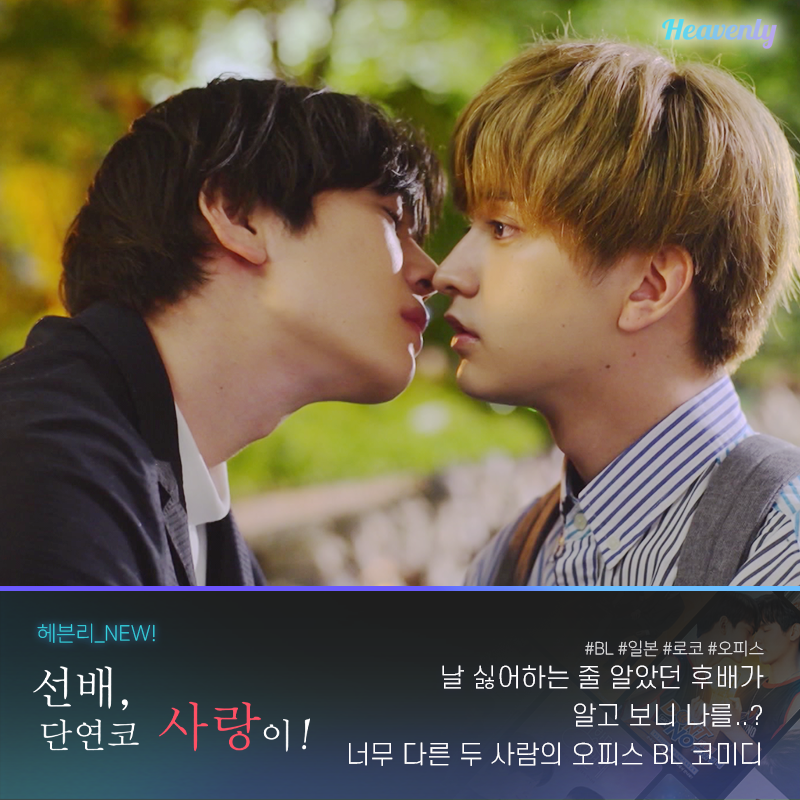 #헤븐리_NEW 저는 헤븐리 담당자가 아니라 달달한 BL 로맨스 코미디 맛집 아티스트에요. #세파코이 부터 애니메이션, 대만 BL까지 총집합한 9월 첫...
