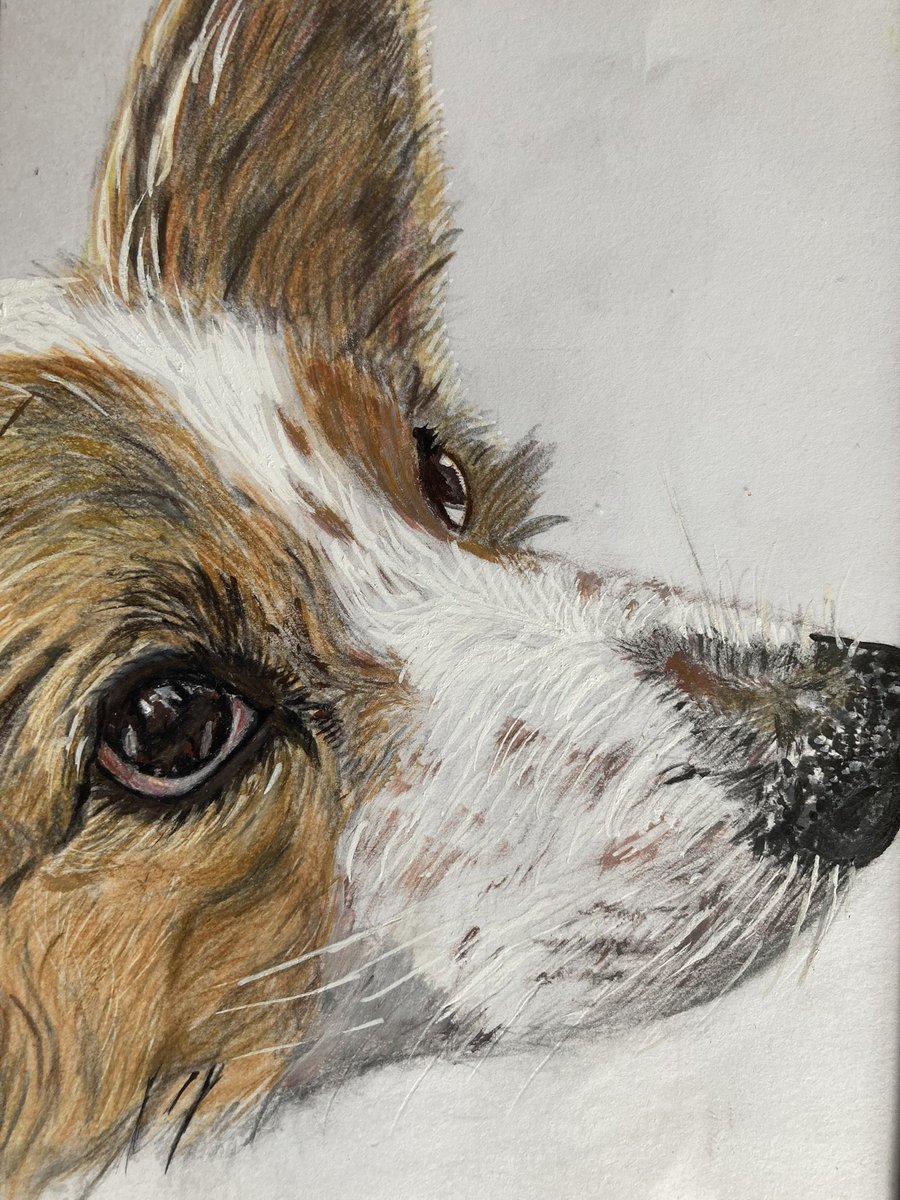 驚きの値段で 絵画 原画 パステル画 犬 パピヨン 絵画 タペストリ Aspock Com 驚きの値段で 絵画 原画 パステル画 犬 パピヨン 絵画 タペストリ Aspock Com