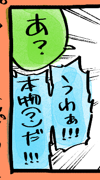 きょう18時半です🍣 