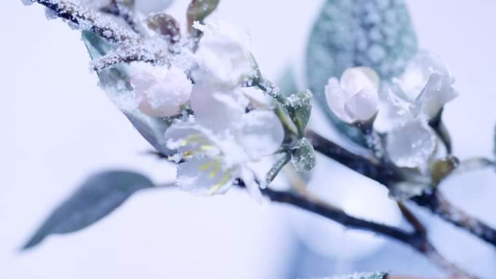 yourbablue's tweet photo. @jenniesrenes So as long as I live I love you
Will have and hold you
You look so beautiful in white 🤍

#ROSÉxSULWHASOO
#블랙핑크 #BLACKPINK  #로제  #ROSÉ 
@BLACKPINK https://t.co/AIVZqCR4gb