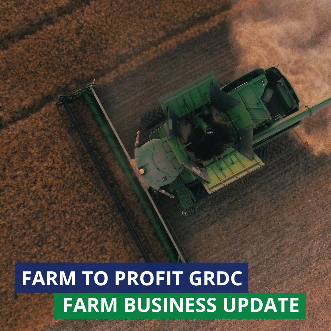 PrincipleFocus tweet media