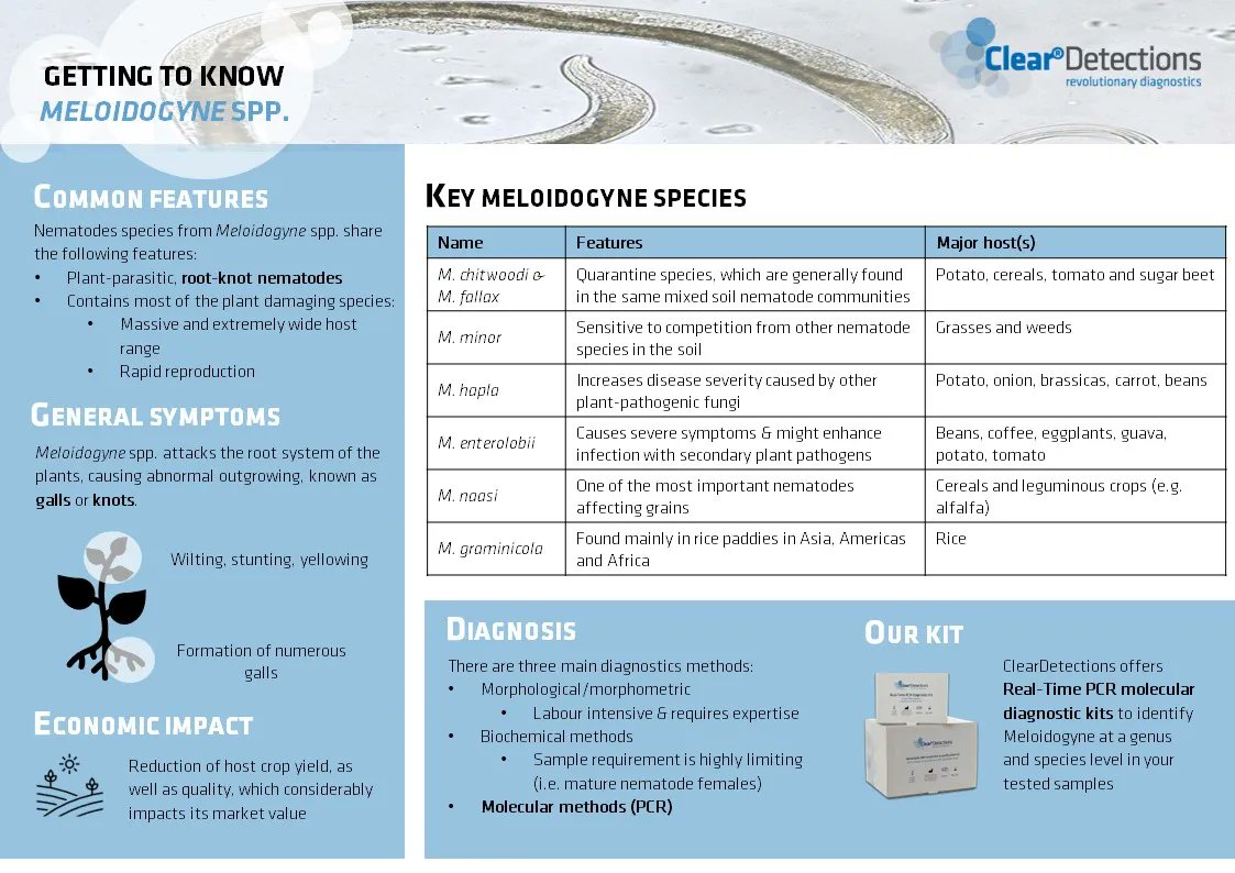 ClearDetections EN tweet media