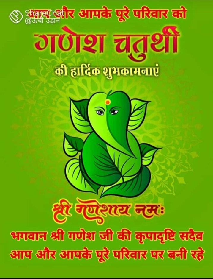 PremMankani's tweet photo. Petstop cafe
Jaipur https://t.co/sK2eoWanFF