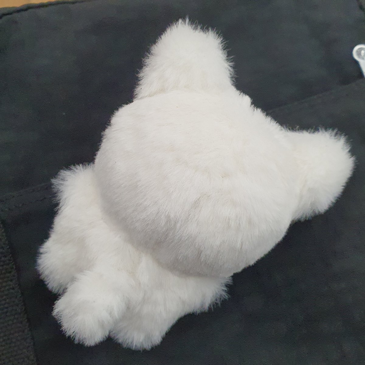 요 아이 만듦🐱 얼굴털만 조금 정리해놓고 방치했다가 데꼬 나옴.. 수많은 우여곡절 끝에 탄생한 우리냥이.. 원단 많이 남았는데😢 나중에 더 많이 만들어서 나눔하까