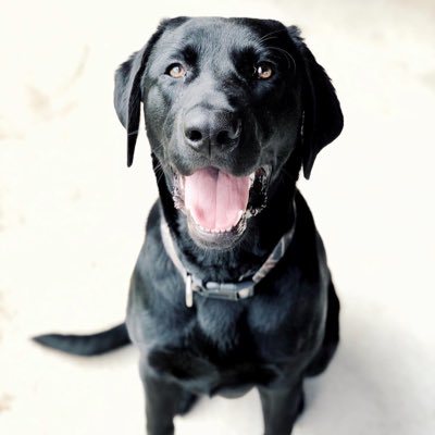 mberry14's tweet photo. I miss my baby boy so much. 😭😭 https://t.co/8gGK2hOuZw