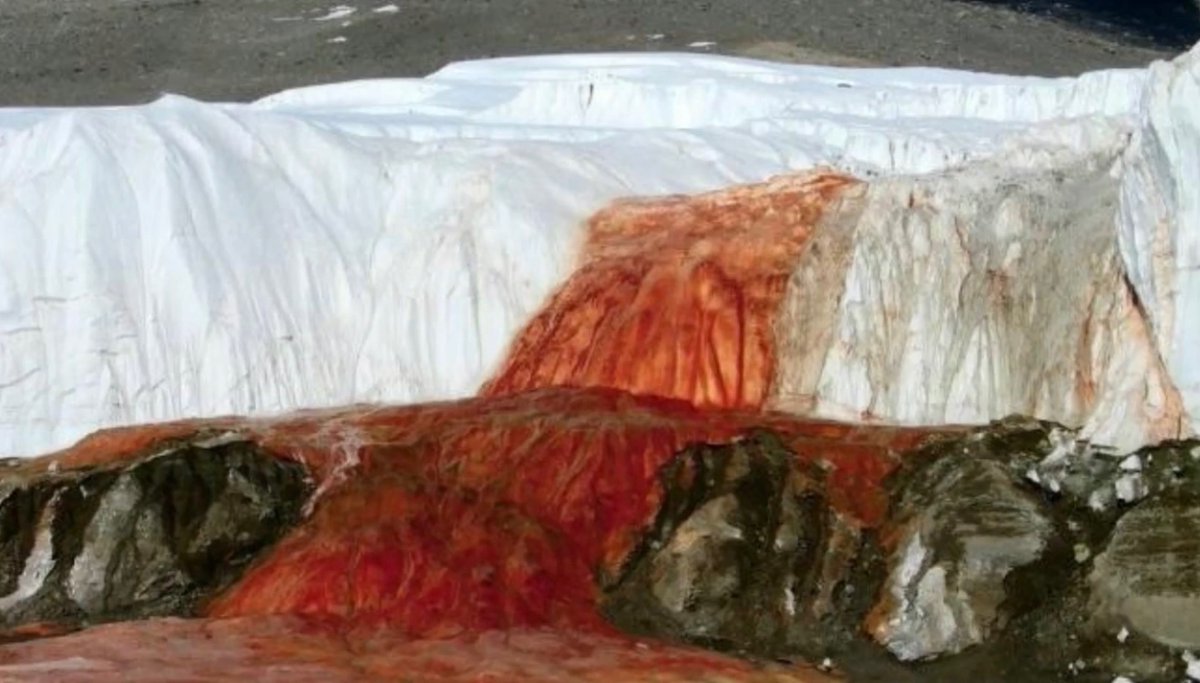 ECompton1776's tweet photo. Blood Falls Antarctica. You really think it’s iron oxide? What’s under there that they have to have a constant sacrifice of blood? What’s under the pyramid? It’s time we all take a little trip to Nazi land.
#TheyEatBabies
#TheyWorshipLucifer
#Dragonline https://t.co/z8dpOjpPGJ