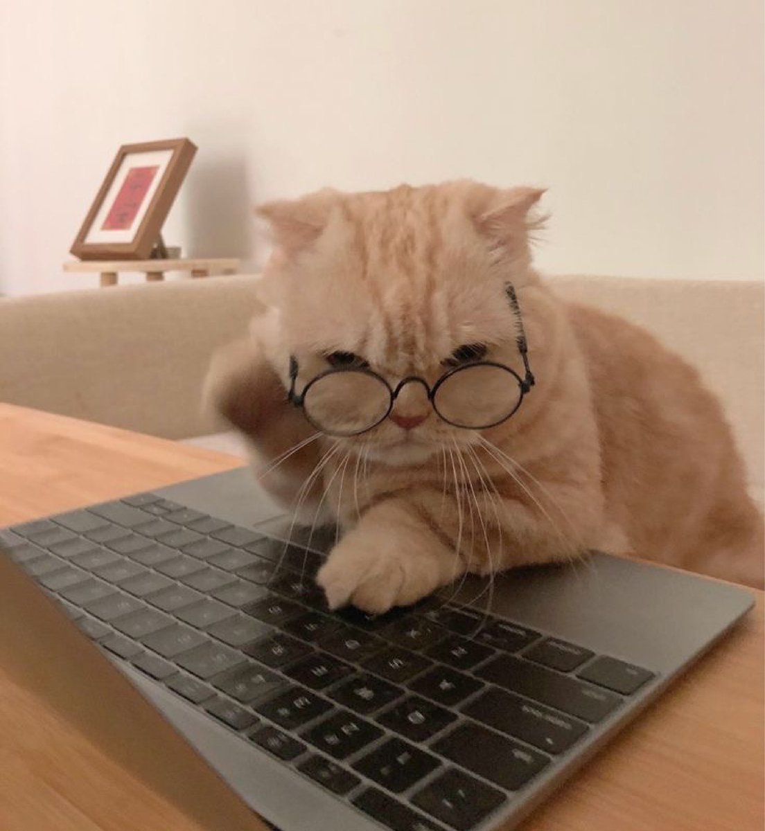 bib 🐥☕️ now on VGen! (@kapebeansies) on Twitter photo 