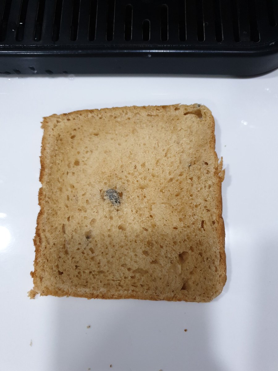 SumitK1717's tweet photo. Even more stones!! This is totally unacceptable @HarvestGoldIn 
I have given this bread to my kid in his tiffin, not realizing it had stones in the morning. Need an explanation. #stopbuyingharvestgoldbread https://t.co/1DXKYwyO9H