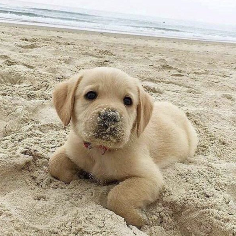 헉 #이거제이크
