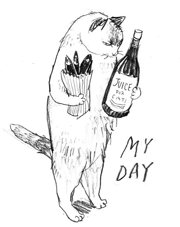 Cat days 