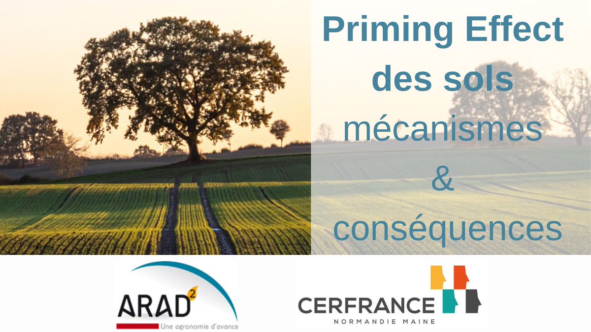 ARAD2_cerfrance's tweet photo. Découvrez dans la dernière publication #ARAD2 ce qu'est le priming effect et quel est le rôle des plantes dans ce phénomène.

A lire ➡️ https://t.co/DL0oZ5yzwR

@CerfranceOrne @CERFRANCE1450 @Cerfrance_5372 @Cerfrance_sn @perigconsultant https://t.co/zvUwKALkcs