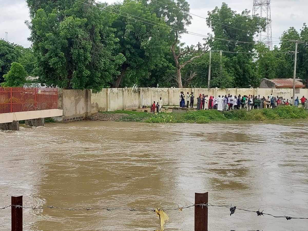 PeaceApex's tweet photo. Take action!
We can’t just leave it up to the government, municipalities, environmentalists or urban planners to put an infrastructure in place to prevent urban flooding.
Everyone must get involved please. 

Ngadabul River over flowing, Posing Possible flood 
#ClimateActionNow https://t.co/VUHrT4H8xI