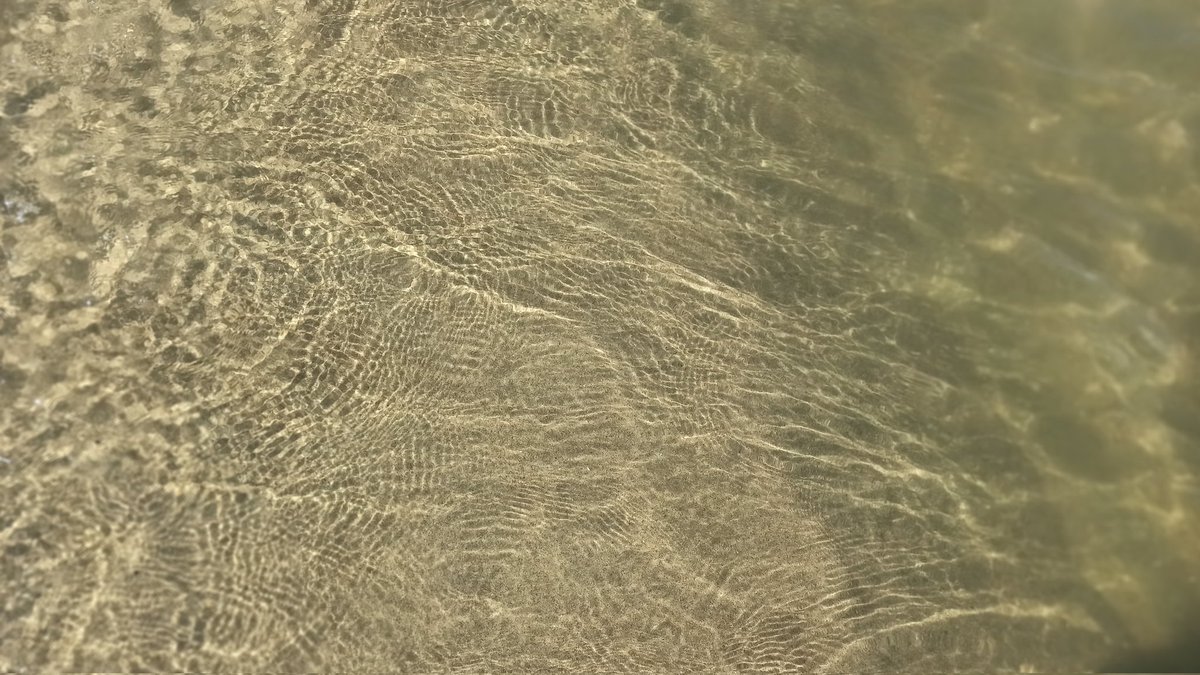 A̸̡͖̖̰̒̊nixien tweet media