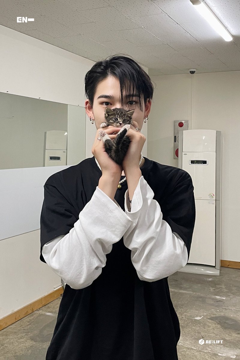 ksnlvsbot's tweet photo. IM SO SOFT FOR THIS NIKI WITH THE KITTEN IM GOING TO CRY https://t.co/WwJUjyQwp6