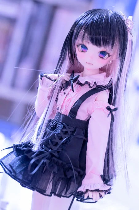 お披露目遅くなりました、先日お迎えしたほしださん()の子綺麗で一目惚れした!!名前は琴音ちゃん!#すたべりっこ 