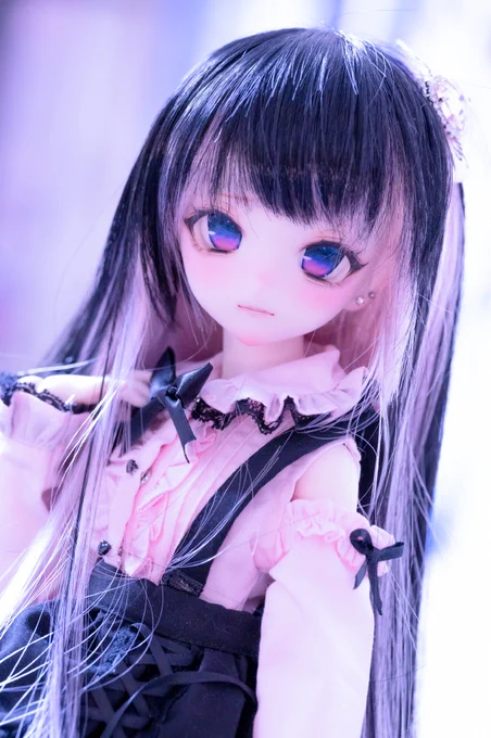 お披露目遅くなりました、先日お迎えしたほしださん()の子綺麗で一目惚れした!!名前は琴音ちゃん!#すたべりっこ 