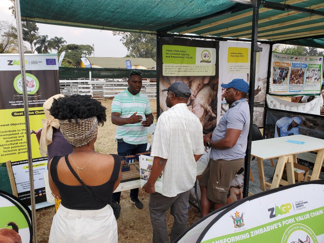 Zimbabwe Agricultural Growth Programme tweet media