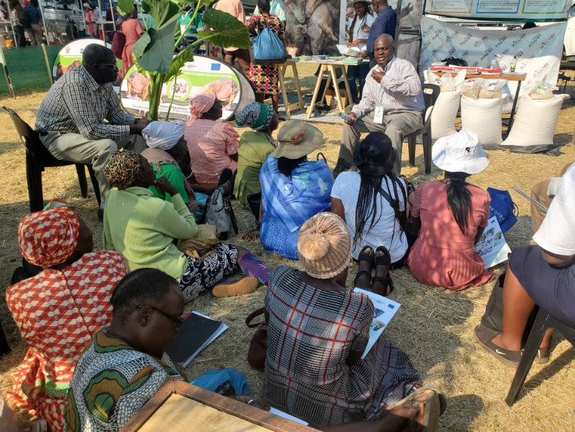 Zimbabwe Agricultural Growth Programme tweet media