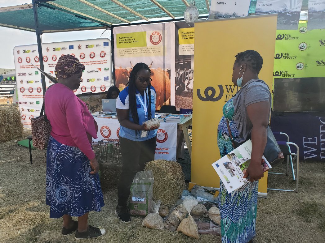 Zimbabwe Agricultural Growth Programme tweet media