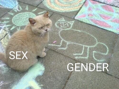 <a href="/JamesUnfettered/">James Rowe 🕊</a> Exactly