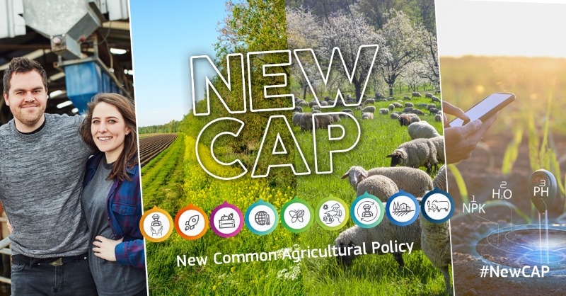 EUAgri's tweet photo. Today, the European Commission approved the first package of CAP strategic plans for 7 countries:
🇩🇰 Denmark
🇫🇮 Finland
🇫🇷 France
🇮🇪 Ireland
🇵🇱 Poland
🇵🇹 Portugal
🇪🇸 Spain

#NewCAP