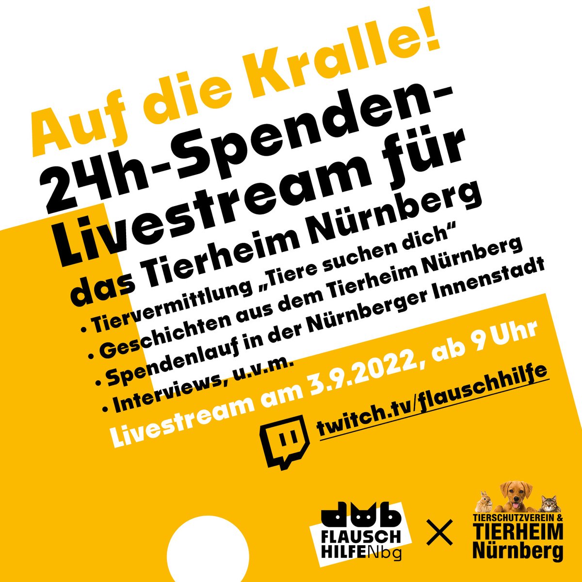 Flauschhilfe's tweet photo. @martin_rollmann Vielen Dank an #Marketing für die #Social-Media-#Beiträge und das #Logo. Auf geht's, einmal #schlafen und dann #starten wir mit unserem #Programm des #24-Stunden-Streams ab 9 Uhr https://t.co/zTNdtzXjUe