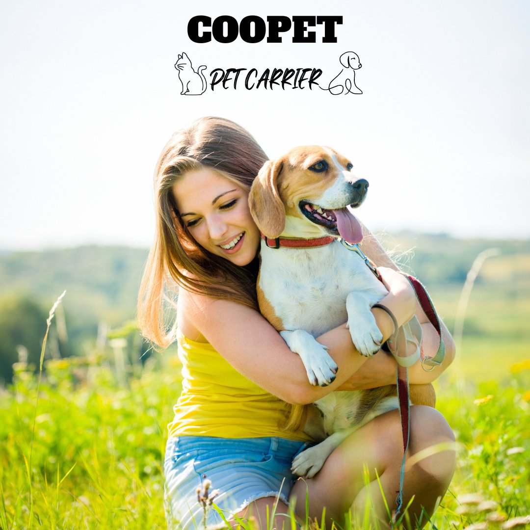 pet_coopet's tweet photo. https://t.co/KCi4wYXSad