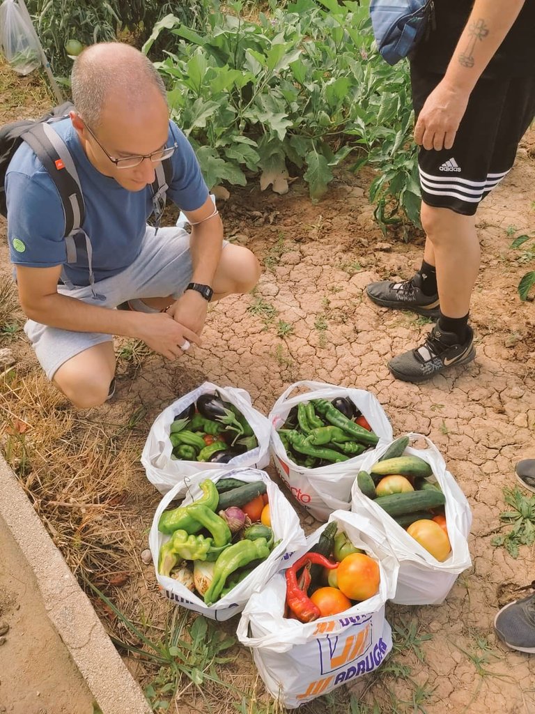 afemnor's tweet photo. Estamos de vuelta con nuestros talleres ocupacionales +MADERA y +HUERTA👌👩‍🌾🧑‍🌾👩‍🔧🧑‍🔧 cofinanciados por @VicepresidenRM

¡Que ganas teníamos de volver!😄

Si tú también quieres participar, no lo dudes y llámanos 👇 
📞695673043
☎️968700966

#AFEMNOR
#SaludMental https://t.co/RtAbN0Hd3F