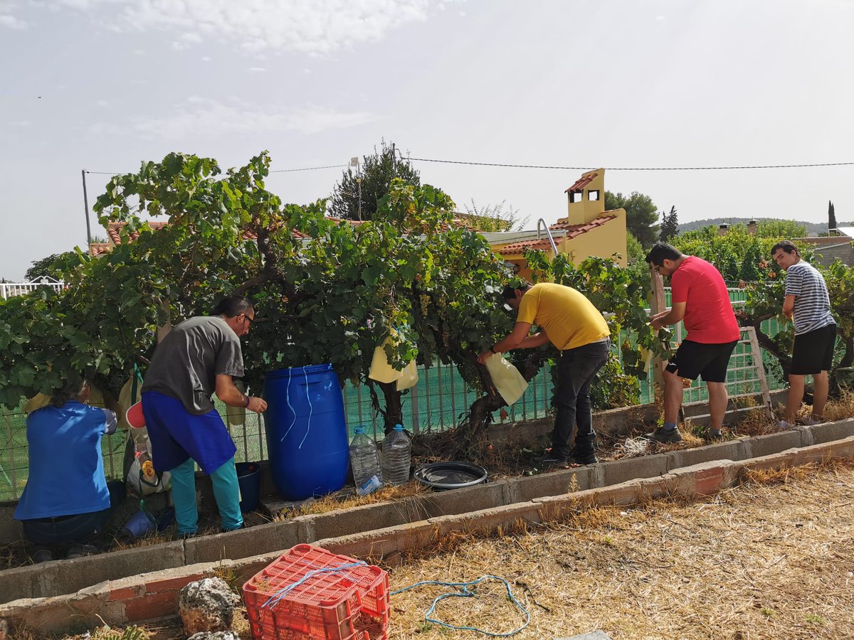 afemnor's tweet photo. Estamos de vuelta con nuestros talleres ocupacionales +MADERA y +HUERTA👌👩‍🌾🧑‍🌾👩‍🔧🧑‍🔧 cofinanciados por @VicepresidenRM

¡Que ganas teníamos de volver!😄

Si tú también quieres participar, no lo dudes y llámanos 👇 
📞695673043
☎️968700966

#AFEMNOR
#SaludMental https://t.co/RtAbN0Hd3F