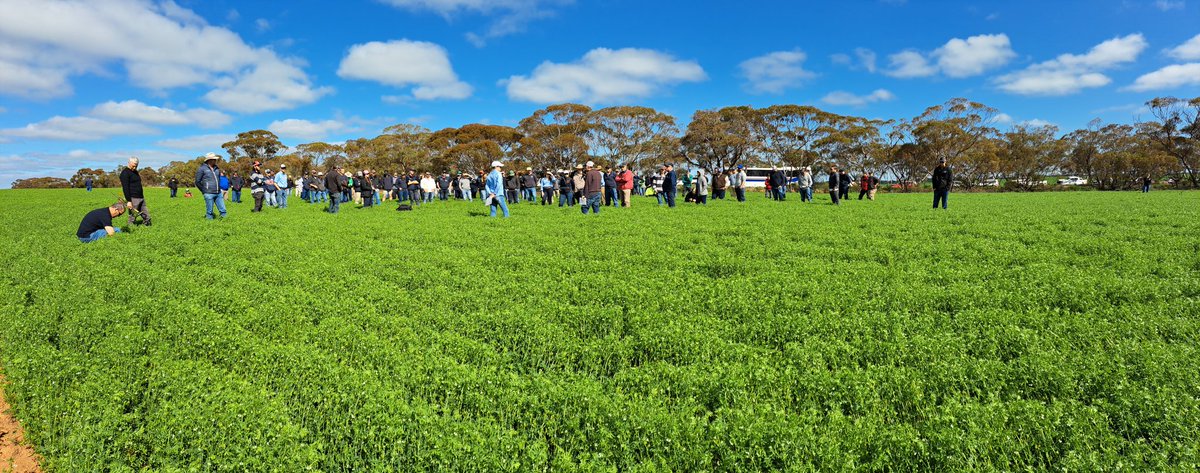 Jamie Phillis tweet media