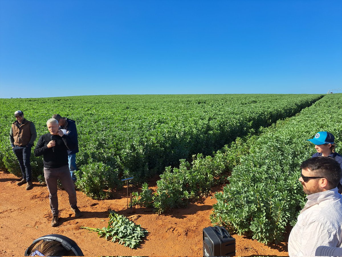 Jamie Phillis tweet media