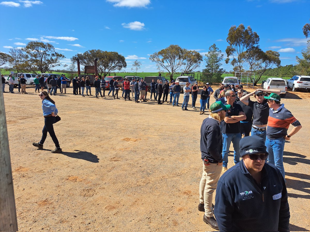 Jamie Phillis tweet media