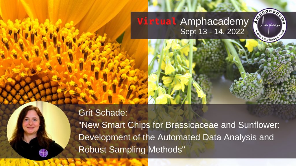 Register here: amphasys.com/new-smart-chip…
Dr. Grit Schade - Applications Scientist at Amphasys - will be speaking at the Virtual Amphacademy about our most recent development for pollen analysis: the new Sunflower and Brassicaceae Smart Chips with fully automated data analysis.
