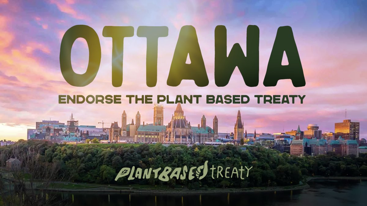 CoimbraSave's tweet photo. 📢 It's time for #Ottawa to take positive climate action &amp; endorse the @Plant_Treaty
@MatthewLuloff @Laura_Dudas @KanataNorth @voteglen @tm_kavanagh @TimTierney @rawlsonking @catherinekitts
https://t.co/ZYdQrlEu27?
https://t.co/nXiWODF8NL