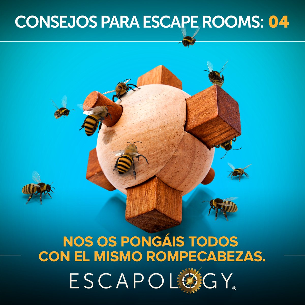 EscapologyL's tweet photo. Para que todo vaya como la seda en vuestra incursión en la sala, lo mejor es hacer caso a los consejos de los expertos 😉

Aquí te dejamos con uno que tanto a ti como a todo el equipo os ayudará a vencer al reloj 👍 👍 https://t.co/veoeDkF1Q4 https://t.co/wxr6986zjq