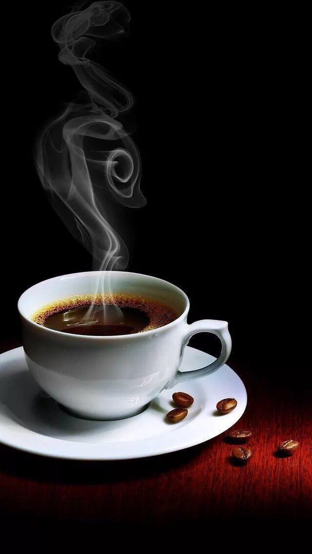 MaraSil46's tweet photo. @Giro5O @Reylope13 @JuliaLeonor19 @JohannaElisa_RA @elicardenas39 @CamilaGzlez34 @Gloria_cuba75 @AlexdelaSerna2 @FrankLopezCuba @FrankEM71 Lindo día amigo 🌹🤗 https://t.co/uDU0PDzvij