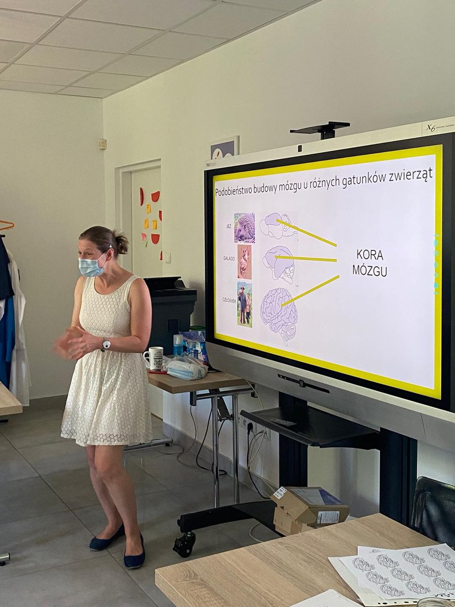 AlicjaPuscian's tweet photo. Educating 🇵🇱 &🇺🇦children about the #brain was a real treat! Very happy to have been able to organize this workshop @BRAINCITYWarsaw @IBDNencki.
Thank you Nauka Otwiera and Stowarzyszenie z Siedzibą w Warszawie for inviting me to this collab!❤️
#famlab #NeuroTwitter https://t.co/MqI1TwS4qm