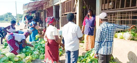 IFDCMozambique's tweet photo. Three cooperatives of Buzi district assisted by IFDC are participating in Market assessment in Beira town to meet #vegetable buyers & discuss the best months to supply different crops according to demand.
This is to implement the #TEAMSProgram.
See More:https://t.co/1TUhmJ8rQW https://t.co/8iZxQ4XASR