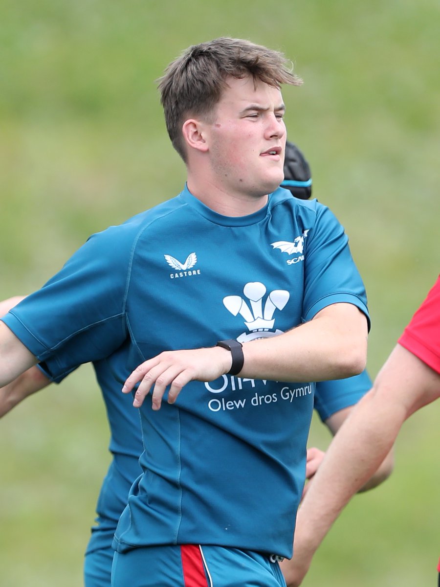 Scarlets Rugby tweet media