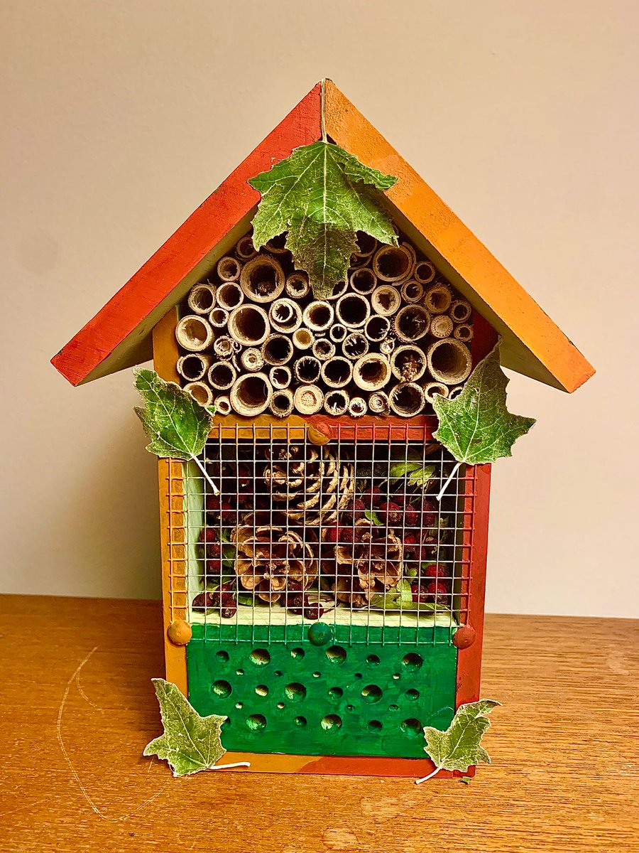KiddRapinetLLP's tweet photo. 🐞🐛Every bug is treated equally here at @KiddRapinetLLP #slough . All shapes and sizes. Welcome to our Hotel little ones! 🐜🕷 @elucyann @SloughTE @SEGROplc #STEbugslife #biodiversity #Sloughtradingestate https://t.co/0uJRjVBUet